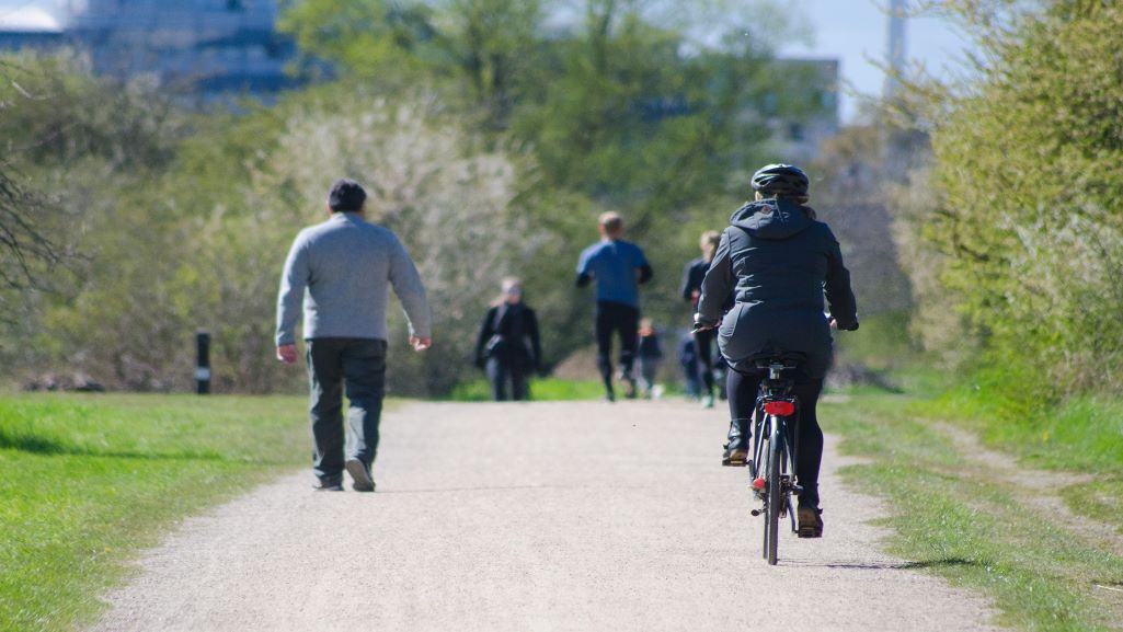 Environmentally Friendly Modes Of Transportation