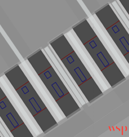 PTV Viswalk crowd simulation view of inspection slots arranged for one by one, signal controlled processing